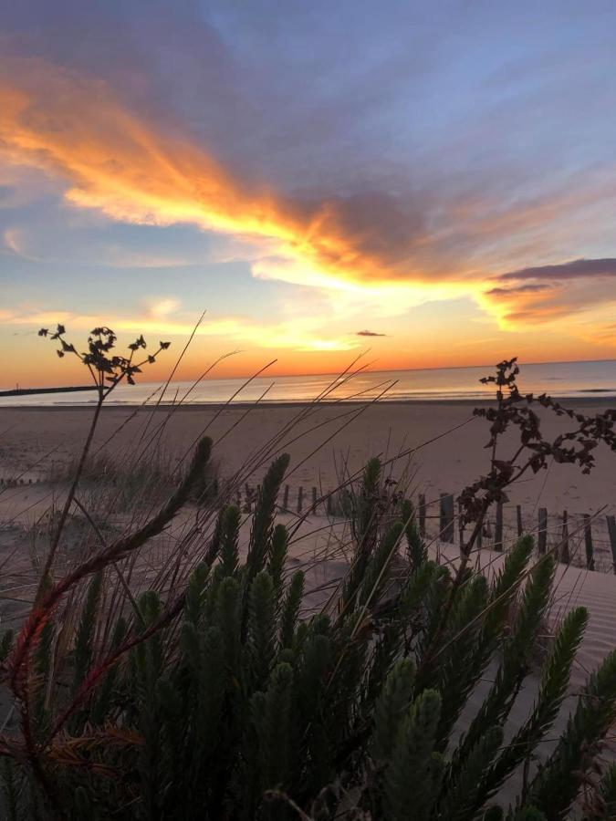 Residence Le Sunset Marseillan-Plage, Entre Mer Et Lagune De Thau, Etape Velo, Famille, Couple, Vrp, Toutou Admis, Jardin, Parking Prive Gratuit, Velos, Clim, Wifi Fibre Gratuite, Commodites, Plage Et Piste Cyclable A Proximite, 6 Couchages Nous Cont Kültér fotó